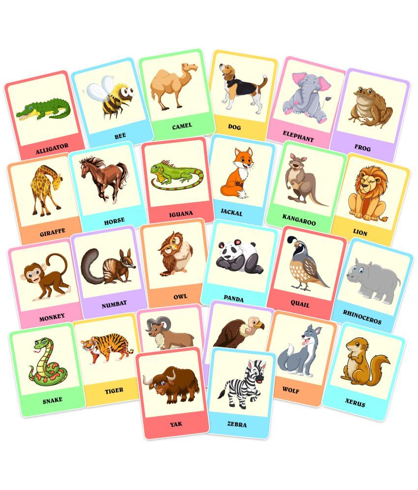     			Zyozi Animal Flash Cards | FlashCards for Children and Adults | Fun Vocabulary Animal Flash Cards for Speech Therapy and Home Schooling (Pack of 26)