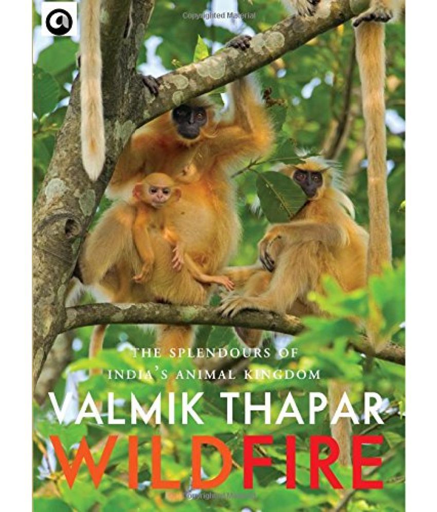     			Wild Fire: The Splendours of India's Animal Kingdom, Part 2 of The Indian Wildlife Trilogy