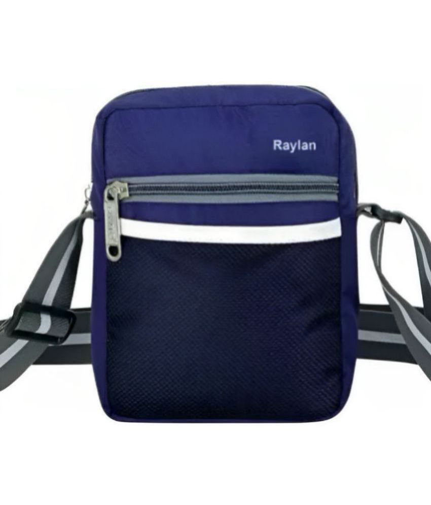     			Raylan Blue Colorblocked Messenger Bag