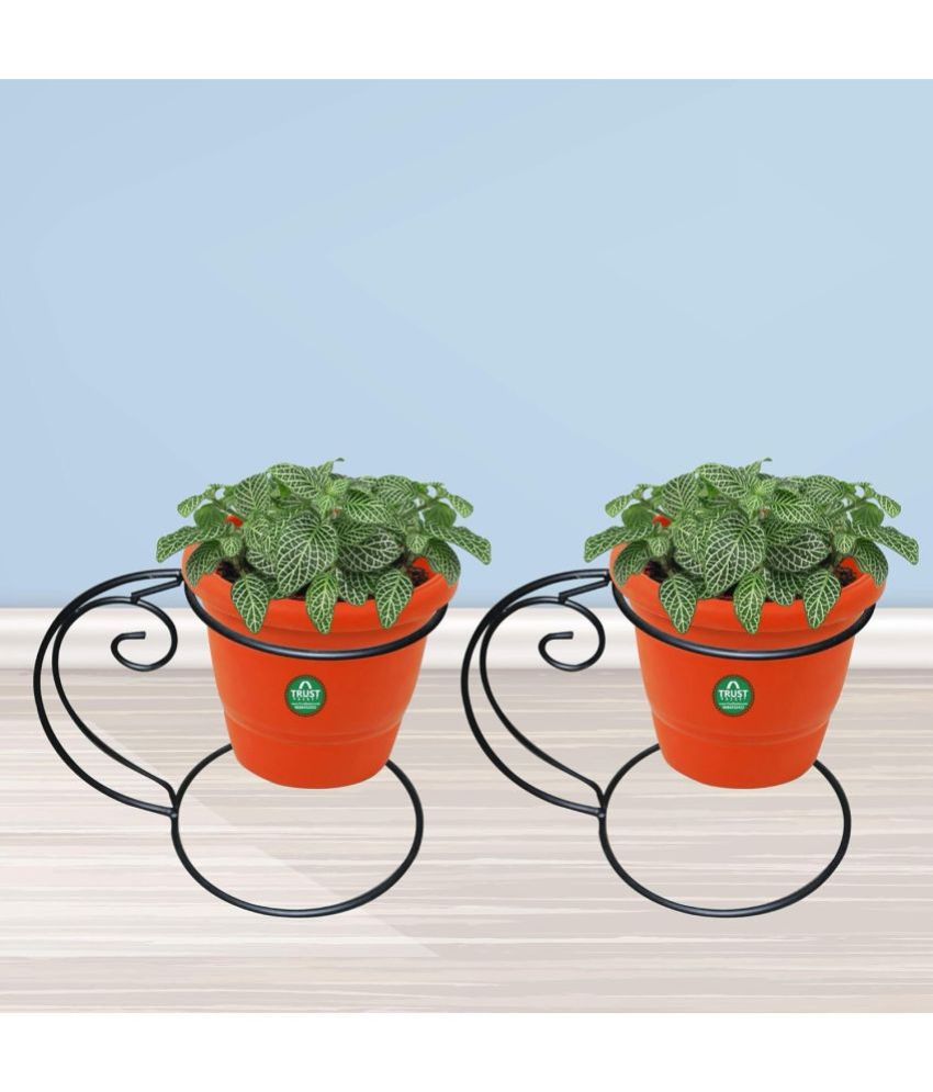    			TrustBasket Over Head Planter Stand - Set of 2
