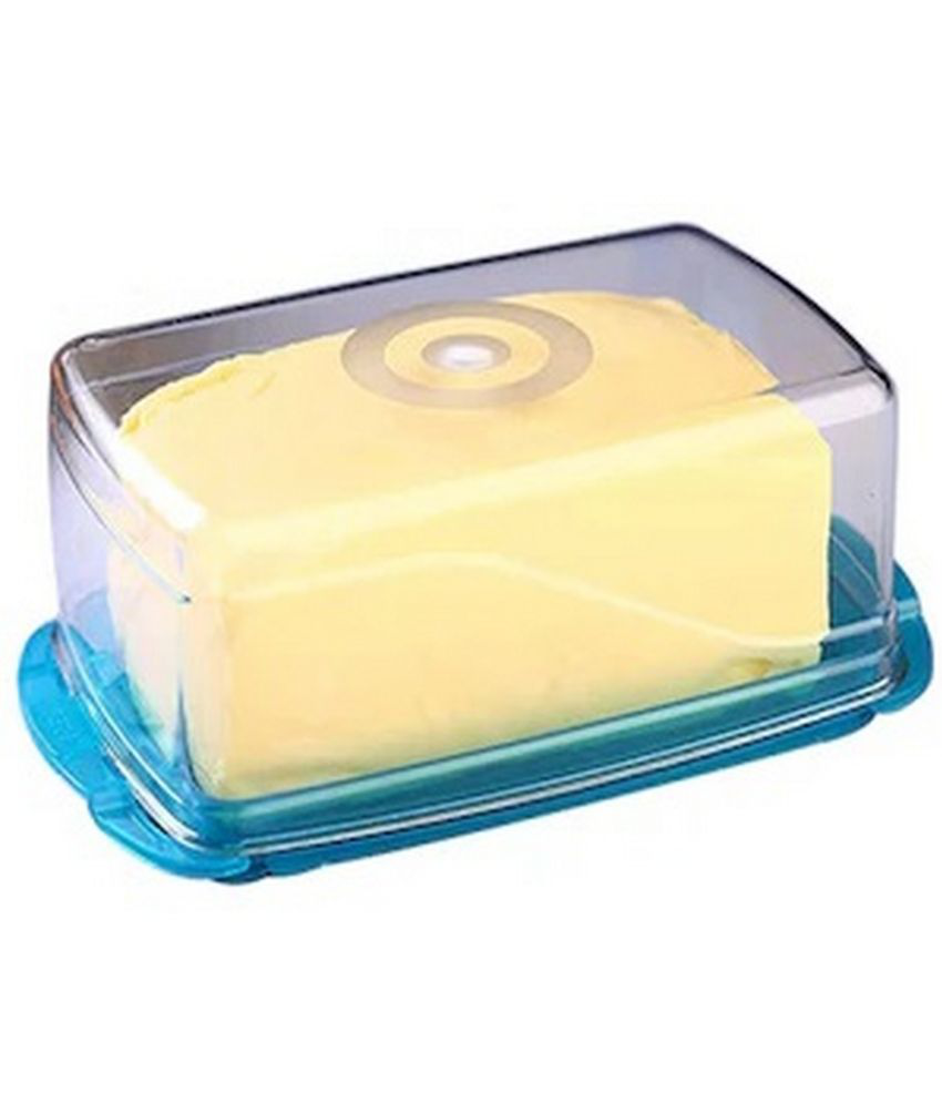     			TINUMS Butter Dish with Lid Plastic Blue Multi-Purpose Container ( Set of 1 )