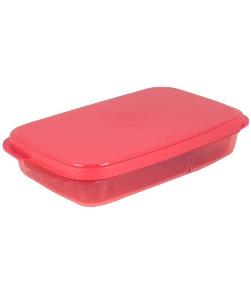     			TINUMS Divine Lunch Box Plastic Lunch Box 2 - Container ( Pack of 1 )