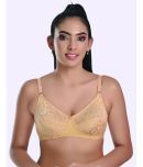 LadySoft Cotton Blend Non Padded Women's Everyday Bra ( Gold ) Nancy Bra