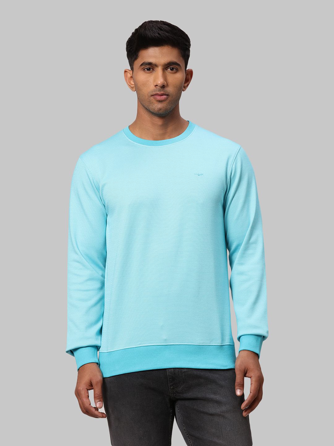     			Park Avenue Cotton Blend Round Neck Men's Sweatshirt - Navy ( Pack of 1 )