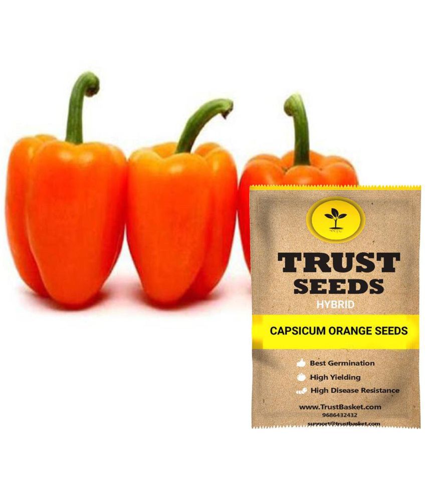     			Trust Basket Capsicum Vegetable Seeds Hybrid (15 Seeds)