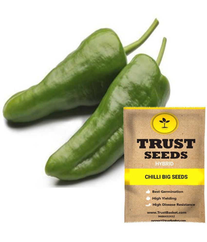     			TrustBasket Chilli Big Vegetable Seeds Hybrid (15 Seeds)