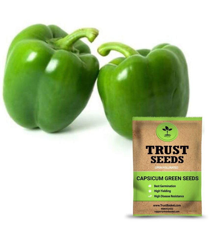     			TrustBasket Capsicum Green Seeds Open Pollinated (15 Seeds)