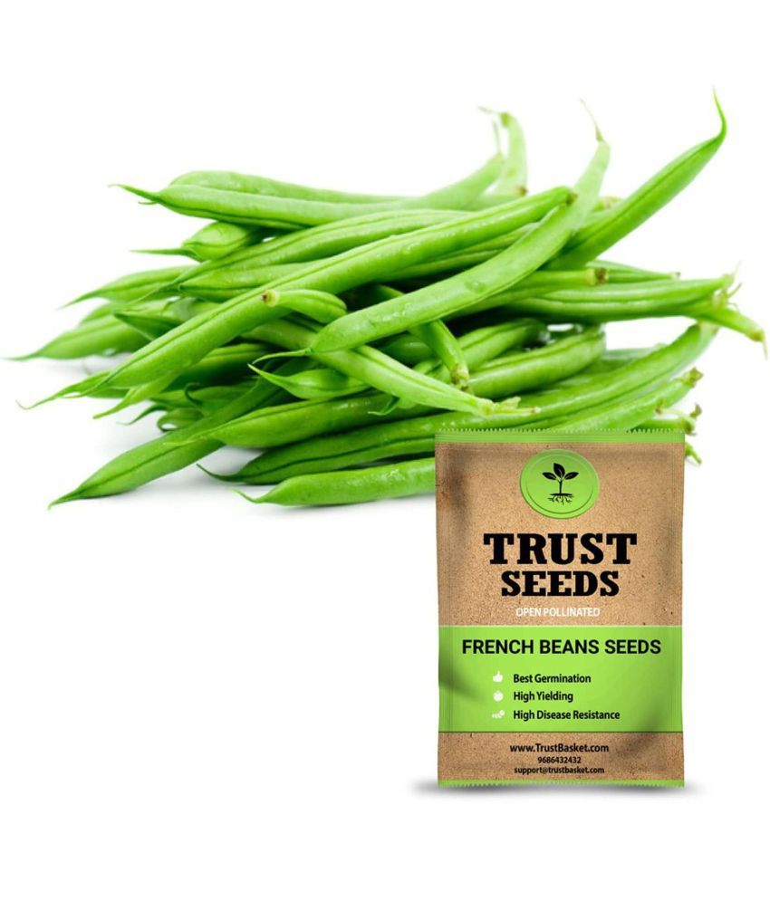     			TrustBasket France Beans Seeds Open Pollinated (15 Seeds)