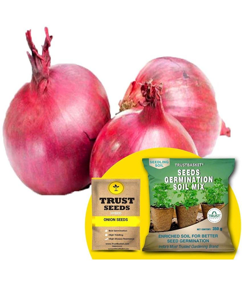     			TrustBasket Onion Seeds(Hybrid) with Free Germination Potting Soil Mix (20 Seeds)