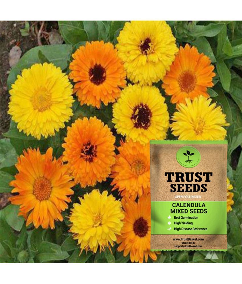     			TrustBasket Calendula Mixed Seeds Op (15 Seeds)