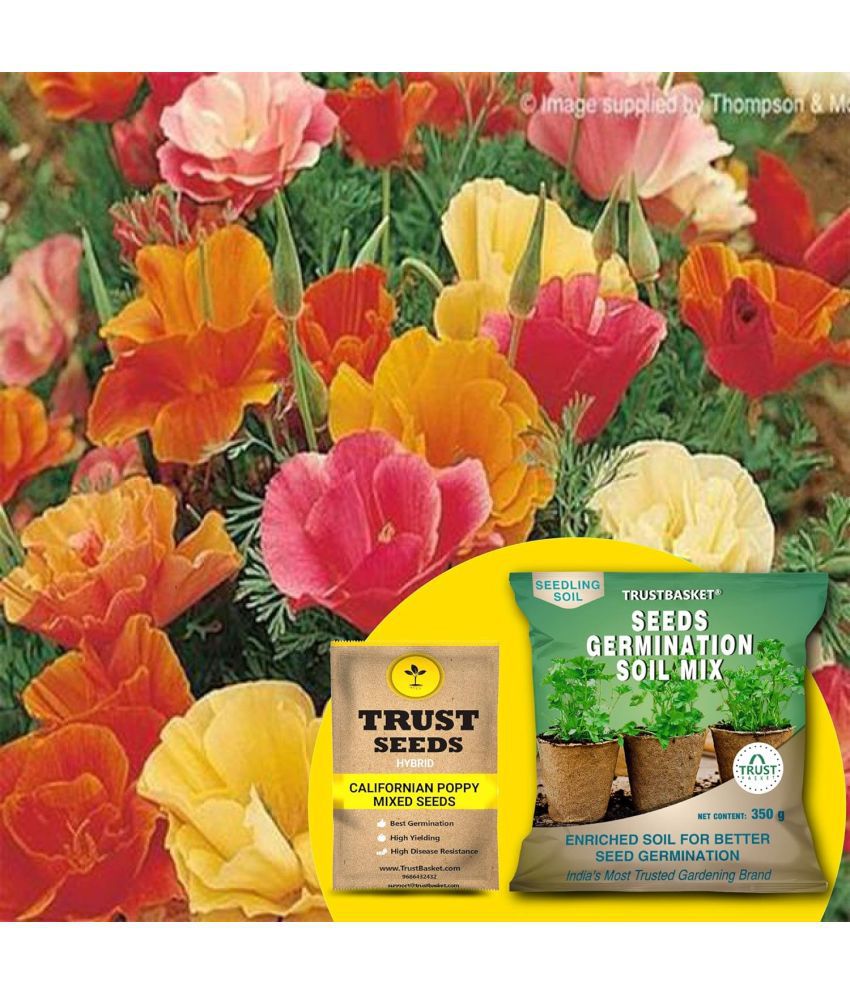     			TrustBasket Californian Poppy Mixed Seeds (Hybrid) with Free Germination Potting Soil Mix (20 Seeds)