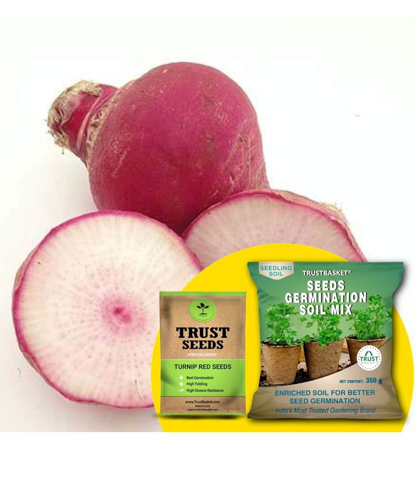     			TrustBasket Turnip Red Seeds(OP) with Free Germination Potting Soil Mix (20 Seeds)