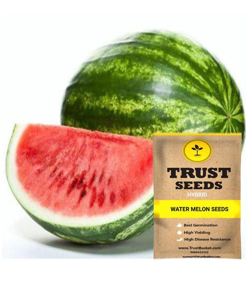     			TrustBasket Water Melon Seeds Hybrid (15 Seeds)