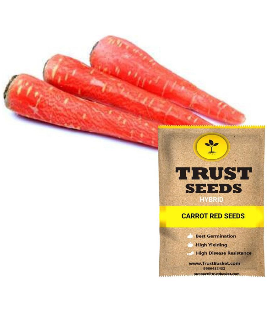     			TrustBasket Carrot Red Vegetable Seeds Hybrid (15 Seeds)