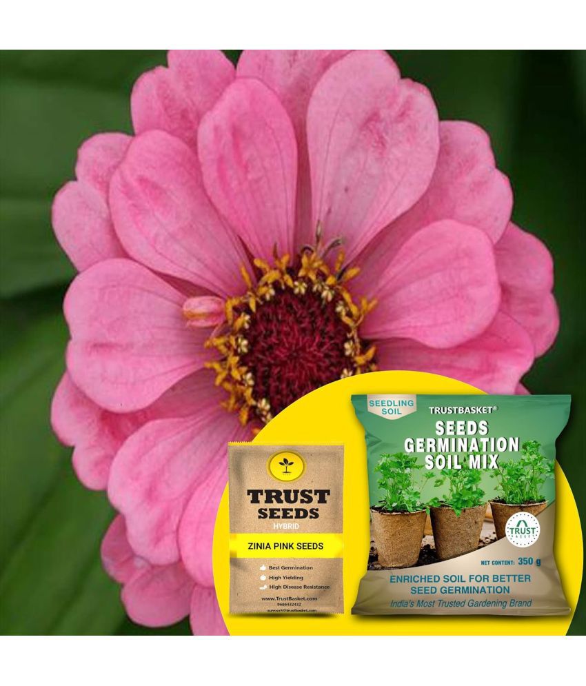     			TrustBasket Zinia Pink Seeds (Hybrid) with Free Germination Potting Soil Mix (20 Seeds)