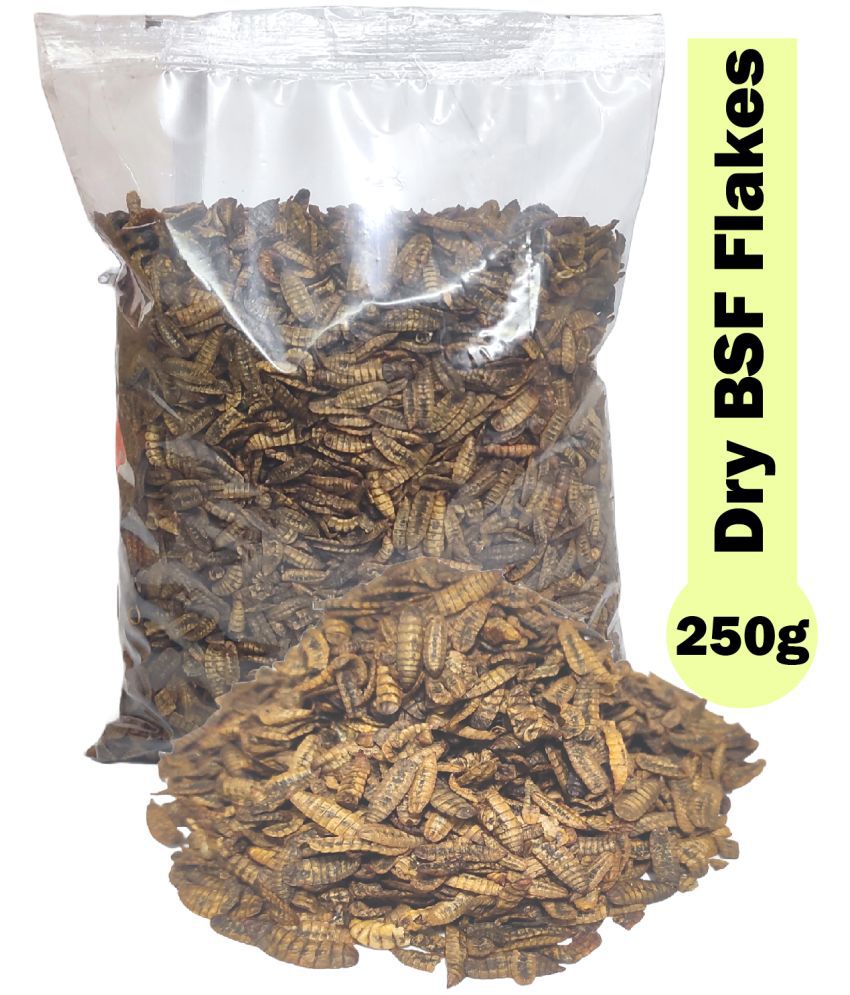     			Dried Black Soldier Fly Larvae - 100% Natural, Protein Rich Fish Food for Arowana, Flower Horn, Oscar, Fighter, Angelfish, Molly, Koi, Cichlids, Tetra, Discus, Red tail All Life Stages All Big Ornamental Fishes 40% Protein Larvae BSF