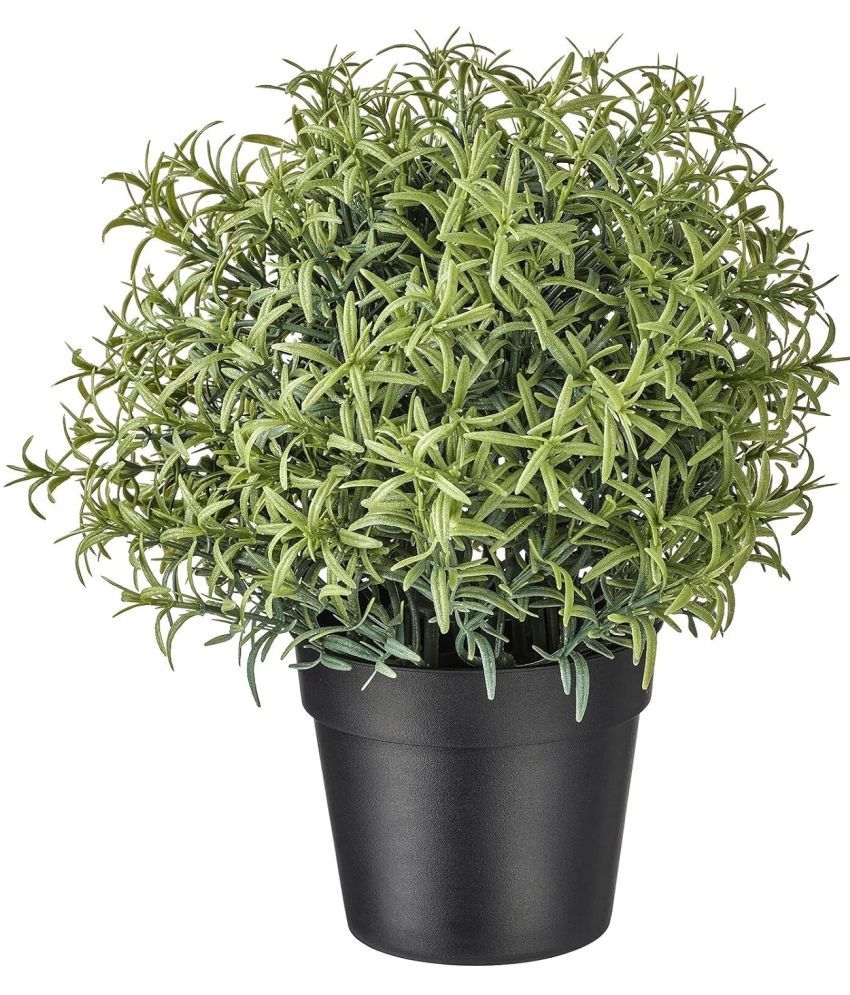     			Paperi - Green Rosemary Artificial Tree ( Pack of 1 )