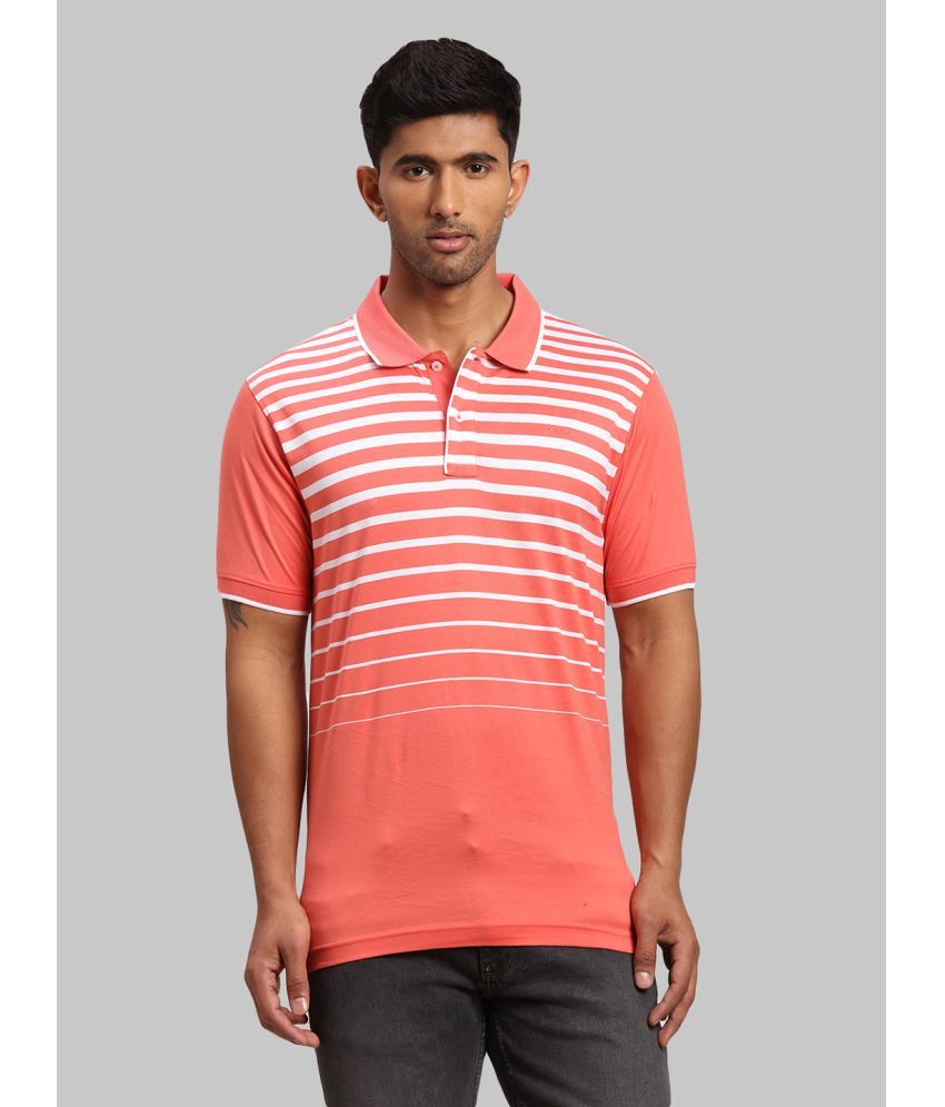     			Colorplus Cotton Regular Fit Striped Half Sleeves Men's Polo T Shirt - Red ( Pack of 1 )