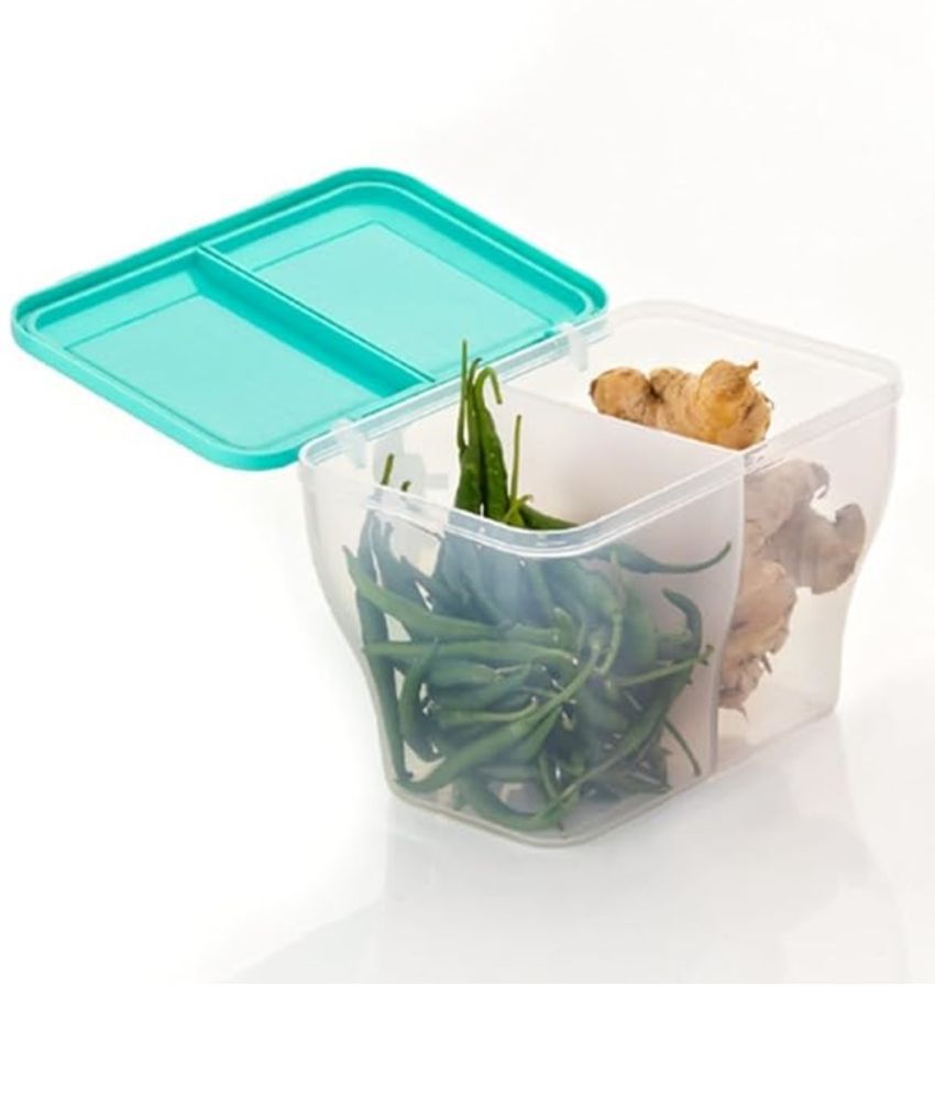     			HOMETALES Dal/Masala/Vegetable Plastic Sea Green Multi-Purpose Container ( Set of 1 )