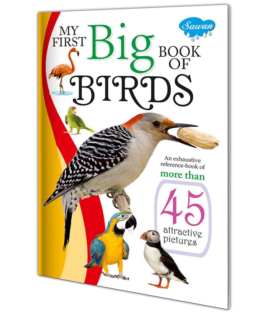     			My First Learning Big Book of Birds | Educational book By Sawan