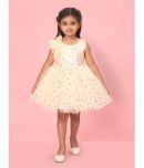 Aarika Net Frock For Girls ( Pack of 1 , Lemon )