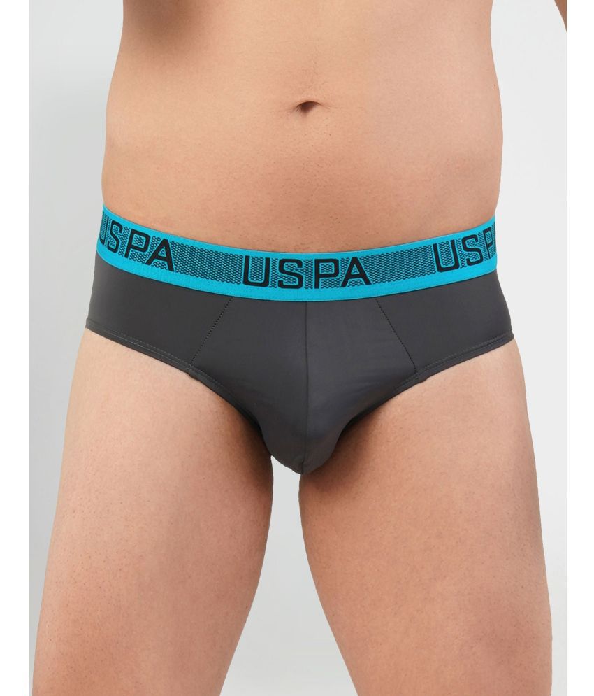     			U.S. Polo Assn. Charcoal Nylon Men's Briefs ( Pack of 1 )