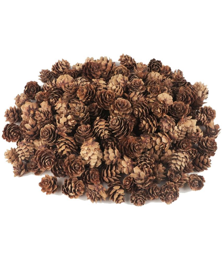     			PRANSUNITA 30 pcs Natural Mini Pine Cone’s – 3 cm- Dry Material for Ornaments Vase Fillers for DIY Crafts, Cake, Home Decor, Christmas & Wedding Decor (Brown)