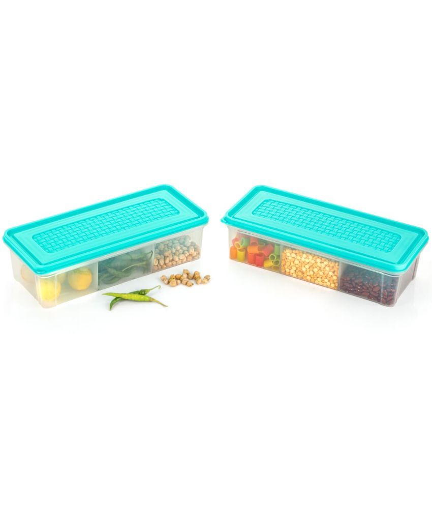     			MAGICSPOON Grocery Container Polyproplene Turquoise Spice Container ( Set of 2 )