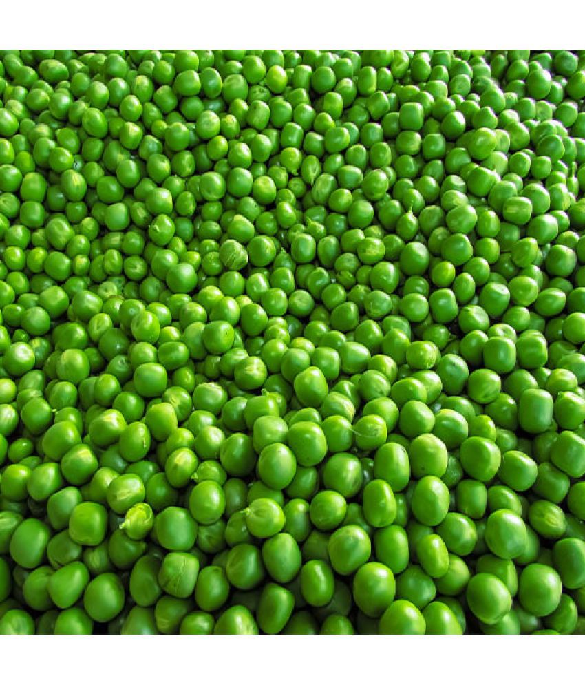     			Infintegreen Peas Vegetable ( 100 Seeds )