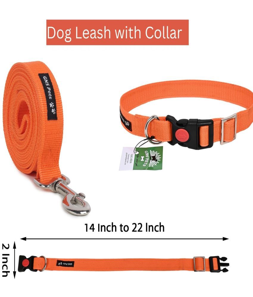     			GNS PETS Orange Combo (Collar Belt and Leash) ( Medium )