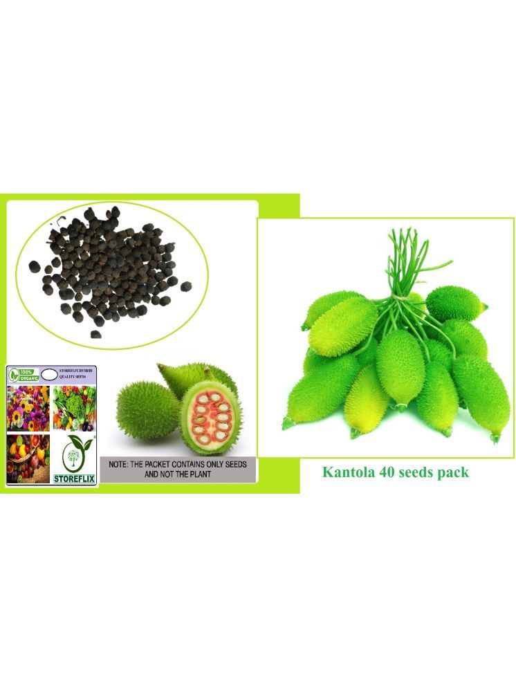     			STOREFLIX Kantola Vegetable ( 40 Seeds )