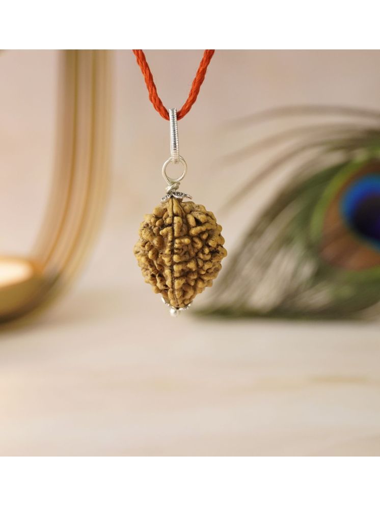     			Japam 2 Mukhi Nepali Rudraksha - Do Mukhi