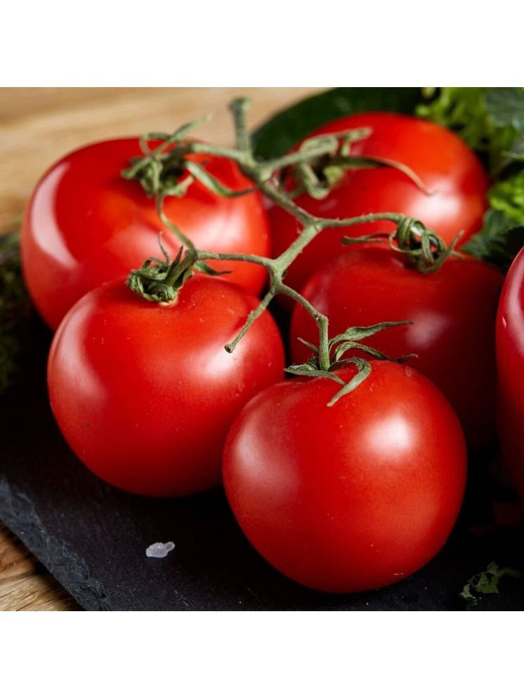     			Jignisha Seeds Tomato Vegetable ( 50 Seeds )