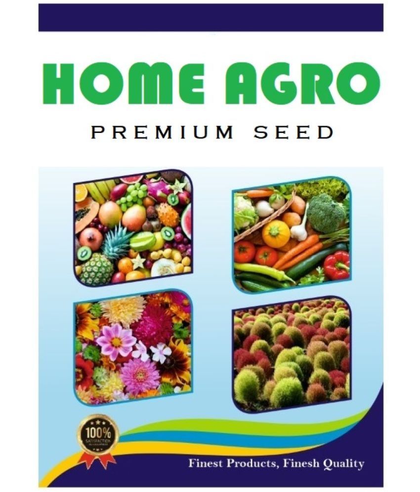     			homeagro Tomato Vegetable ( 100 Seeds )