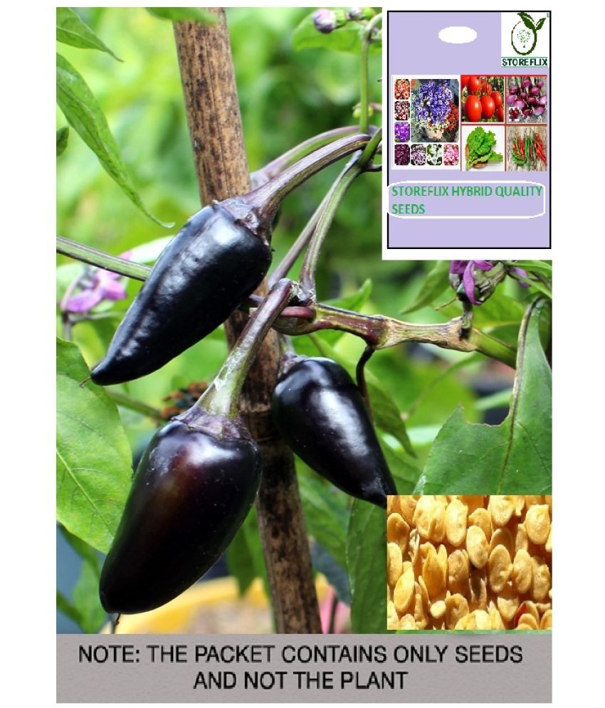     			STOREFLIX Chilli Vegetable ( 25 Seeds )