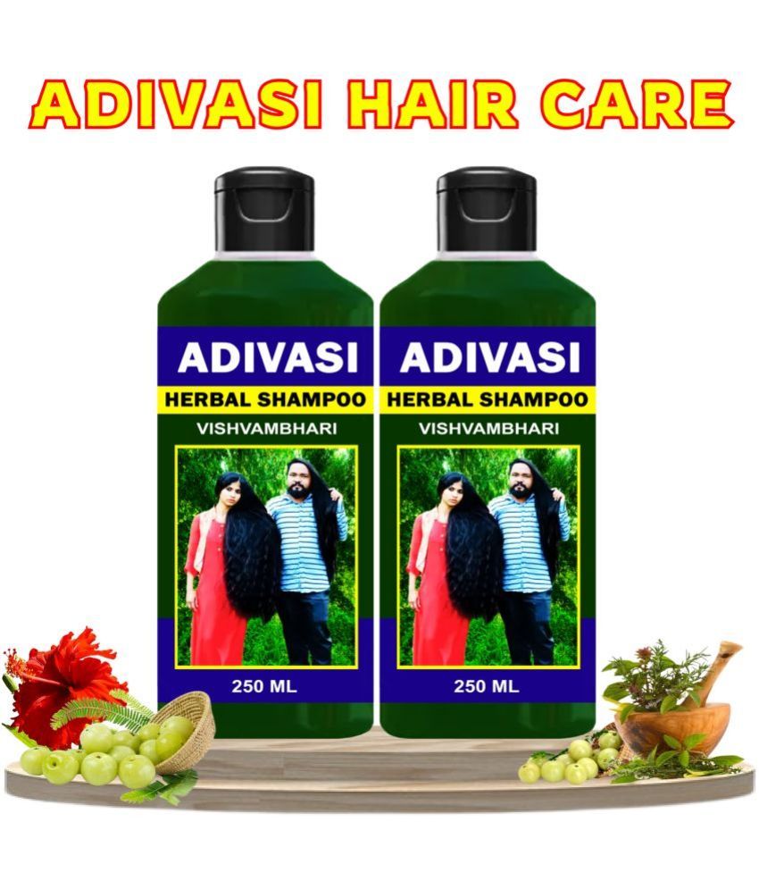     			Vishvambhari Daily Care Shampoo 250 ( Pack of 2 )