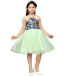 Aarika Nylon Fit And Flare Dress For Girls ( Pack of 1 , Green )