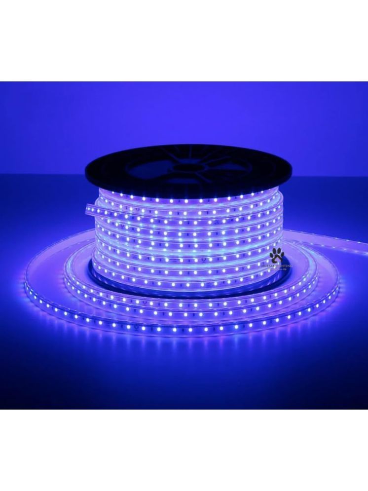     			SPARKWORLD Blue 5M LED Strip ( Pack of 1 )