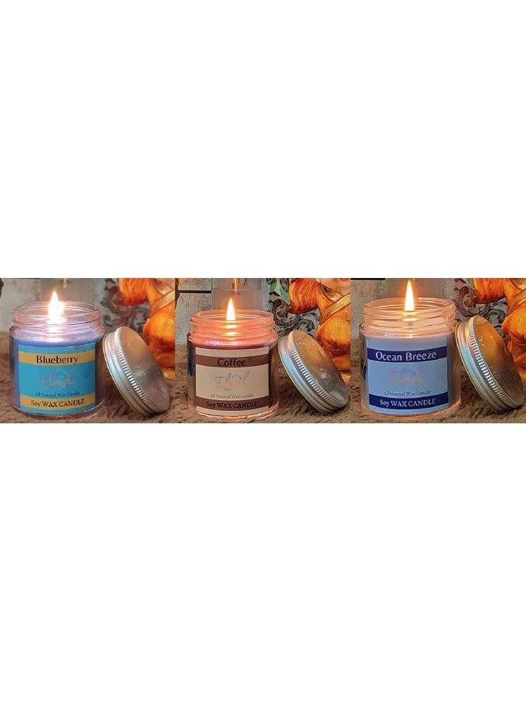     			Floish Multicolour Aromatherapy Jar Candle 6.4 cm ( Pack of 3 )