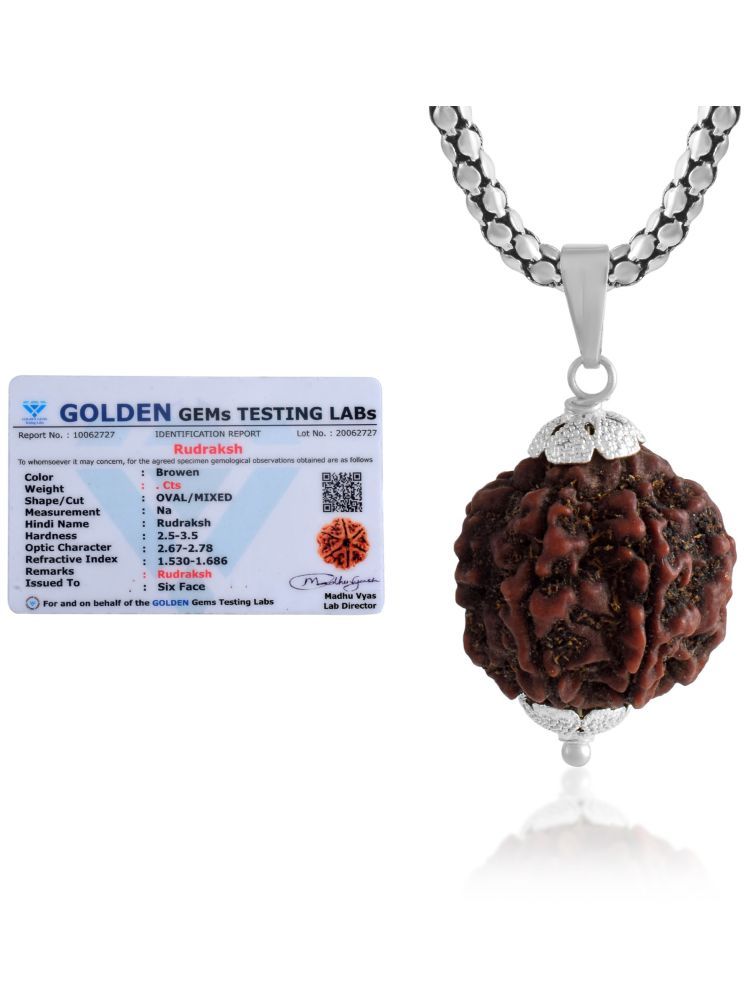     			ADMIER 6 Mukhi Rudraksha Pendant With Chain ( Pack of 1 )