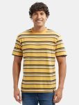 Jockey 2715 Men's Super Combed Cotton Rich Striped Round Neck T-Shirt - Burnt Gold - Navy - White