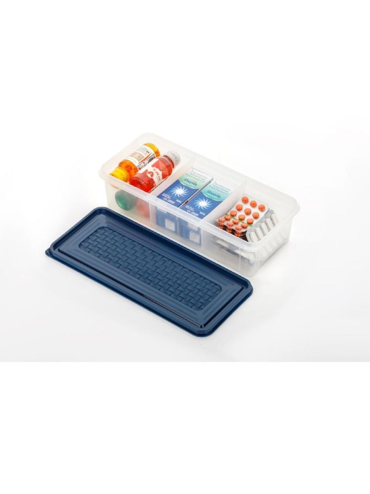     			Vittamix 3 in 1 Section Box Plastic Blue Multi-Purpose Container ( Set of 1 )