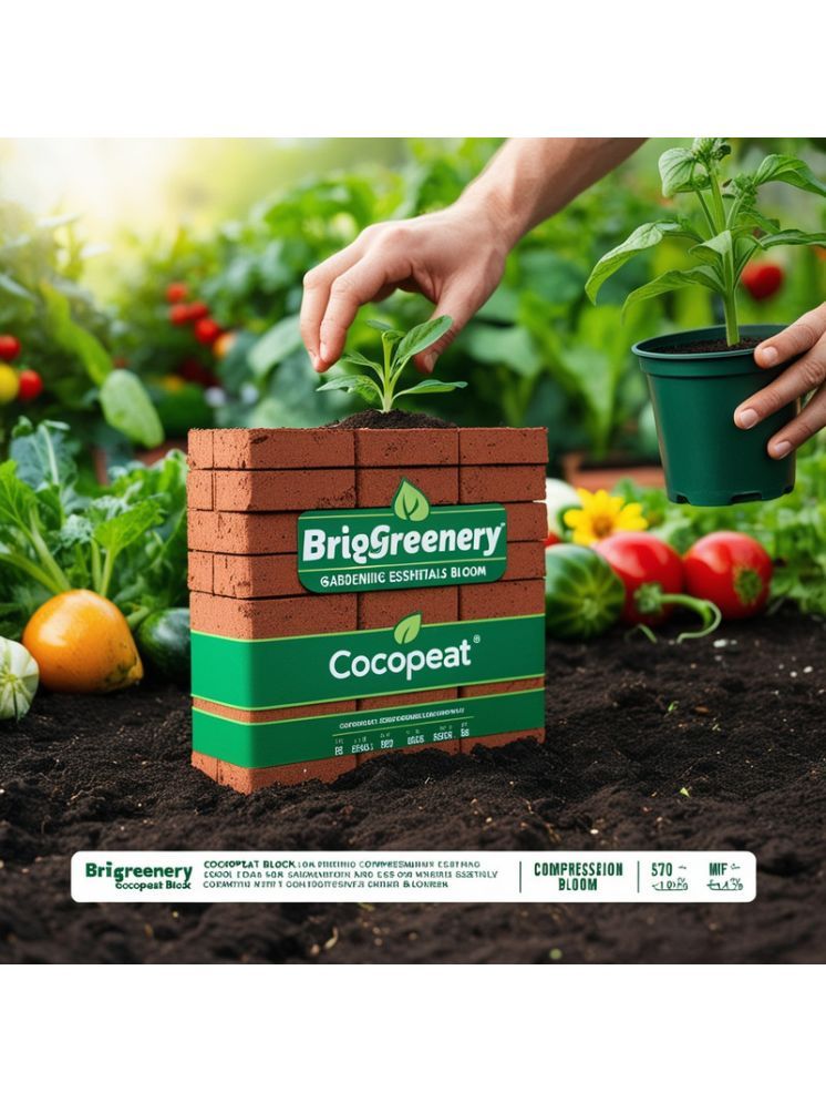     			BriGreenery Bricks Cake ( 5 ) For Vertical Gardening