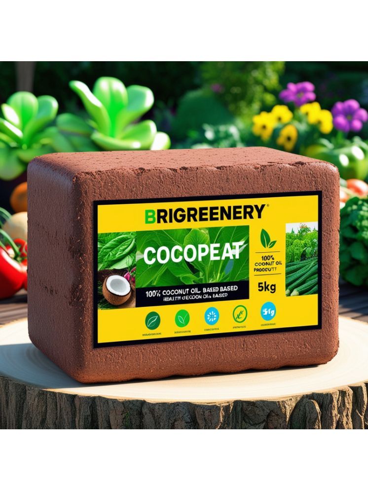     			BriGreenery Bricks Cake ( 5 ) For Vertical Gardening