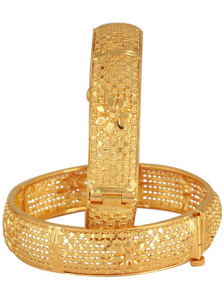     			Vighnaharta Gold Bangle Set ( Pack of 1 )