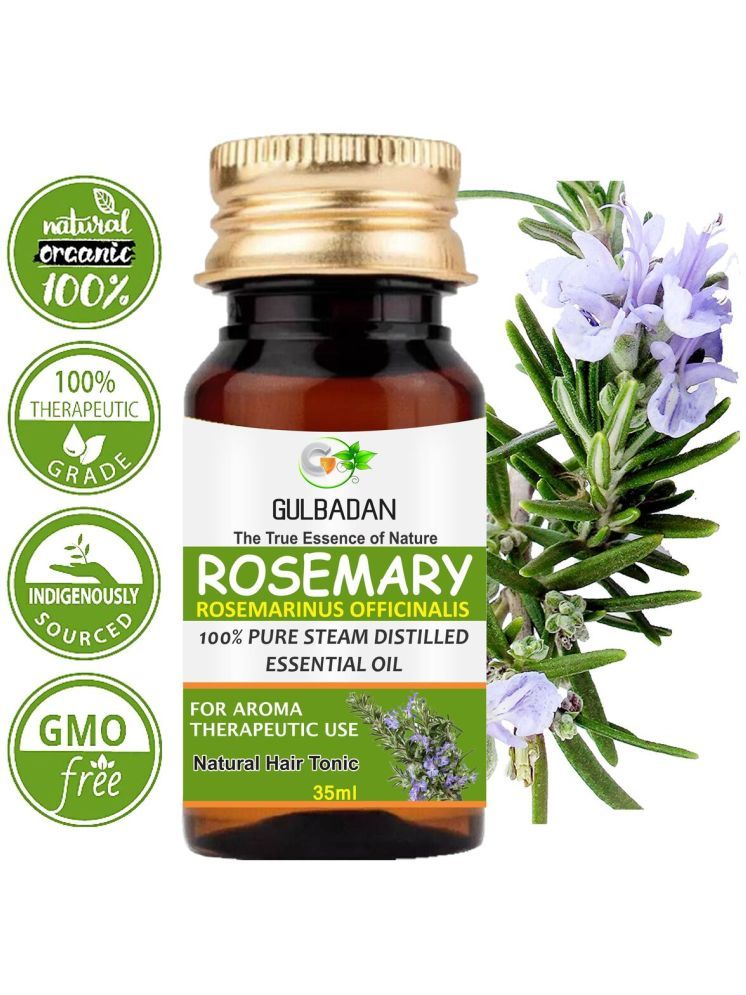     			GULBADAN Rosemary Essential Oil 35 mL ( Pack of 1 )