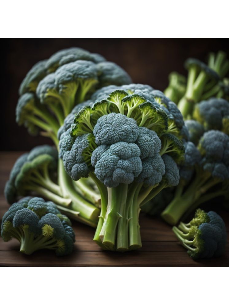     			Jignisha Seeds Broccoli Vegetable ( 100 Seeds )