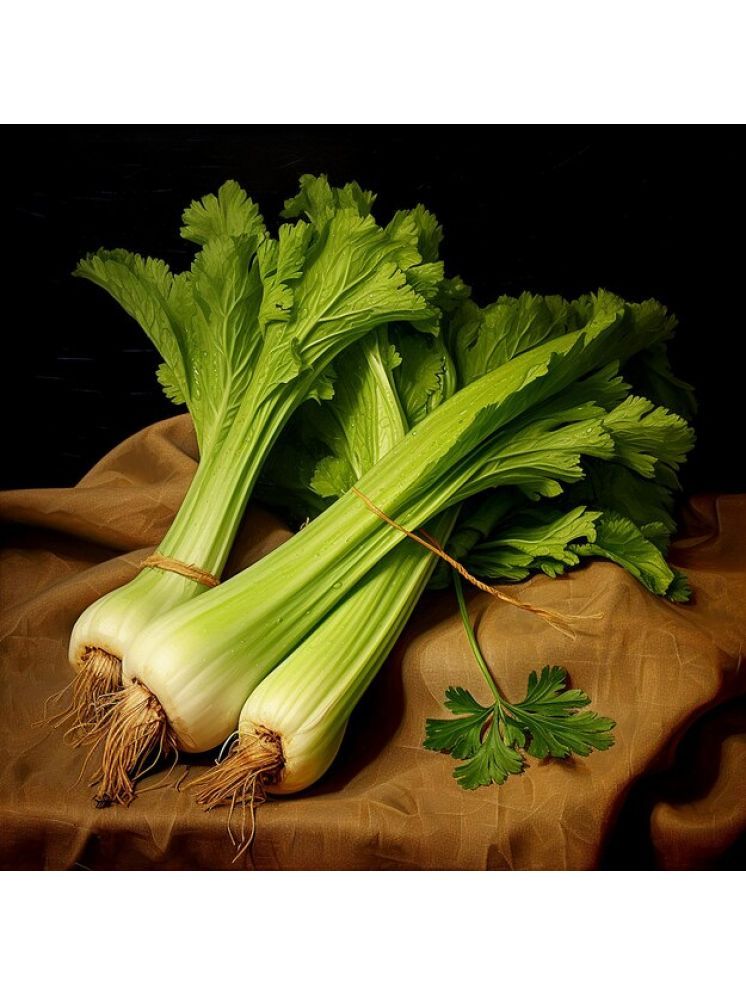     			Jignisha Seeds Hybrid Celery Vegetable ( 100 Seeds )