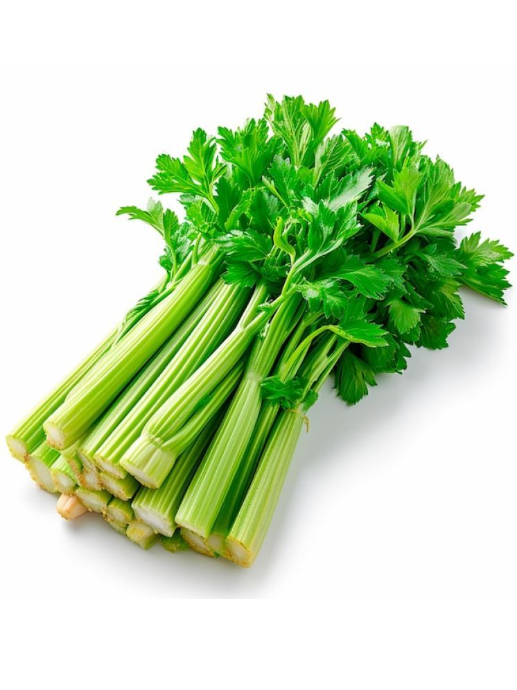     			Jignisha Seeds Organic Celery Vegetable ( 100 Seeds )