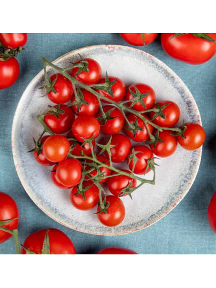     			Jignisha Seeds Red Cherry Tomato Vegetable ( 50 Seeds )